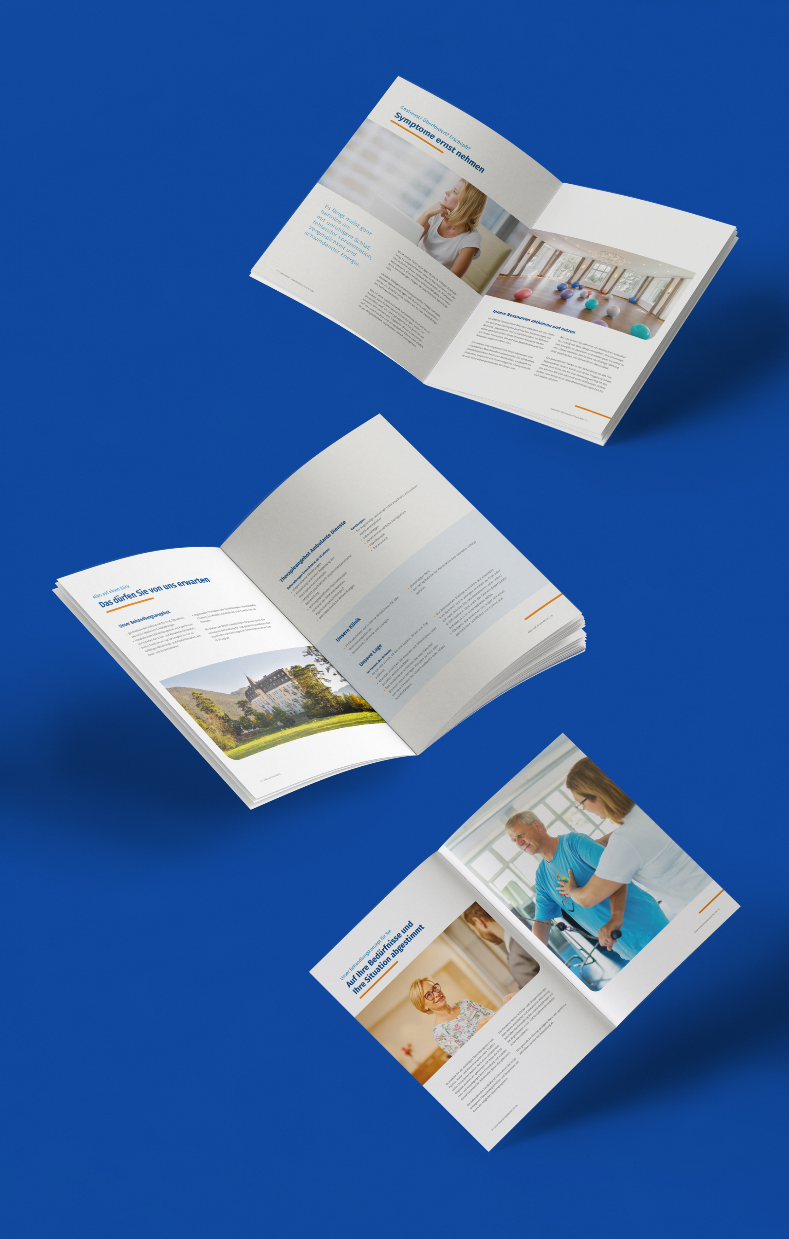 Ameo Brochure